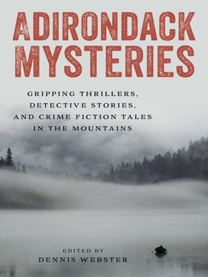 cover image of Adirondack Mysteries